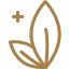 Kropsterapeuterne